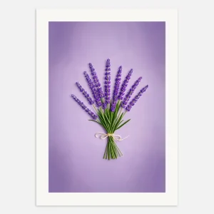 Laventeli Provencesta - Juliste Posterscape Creative Studio