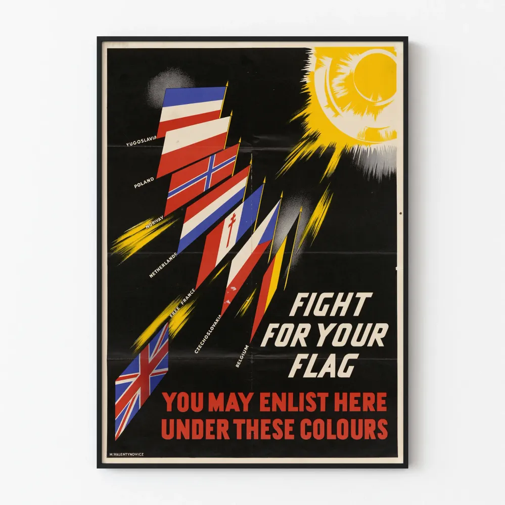 Seinäkoristejuliste Fight Your Flag