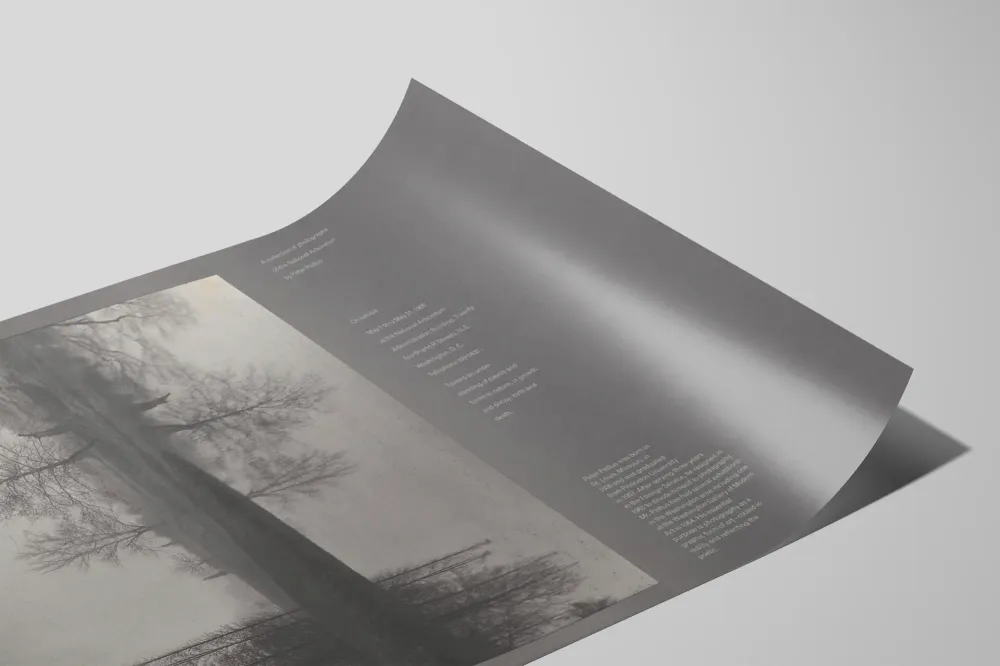 Taiteellinen juliste Luonto luonnonvalossa Artem Legrand