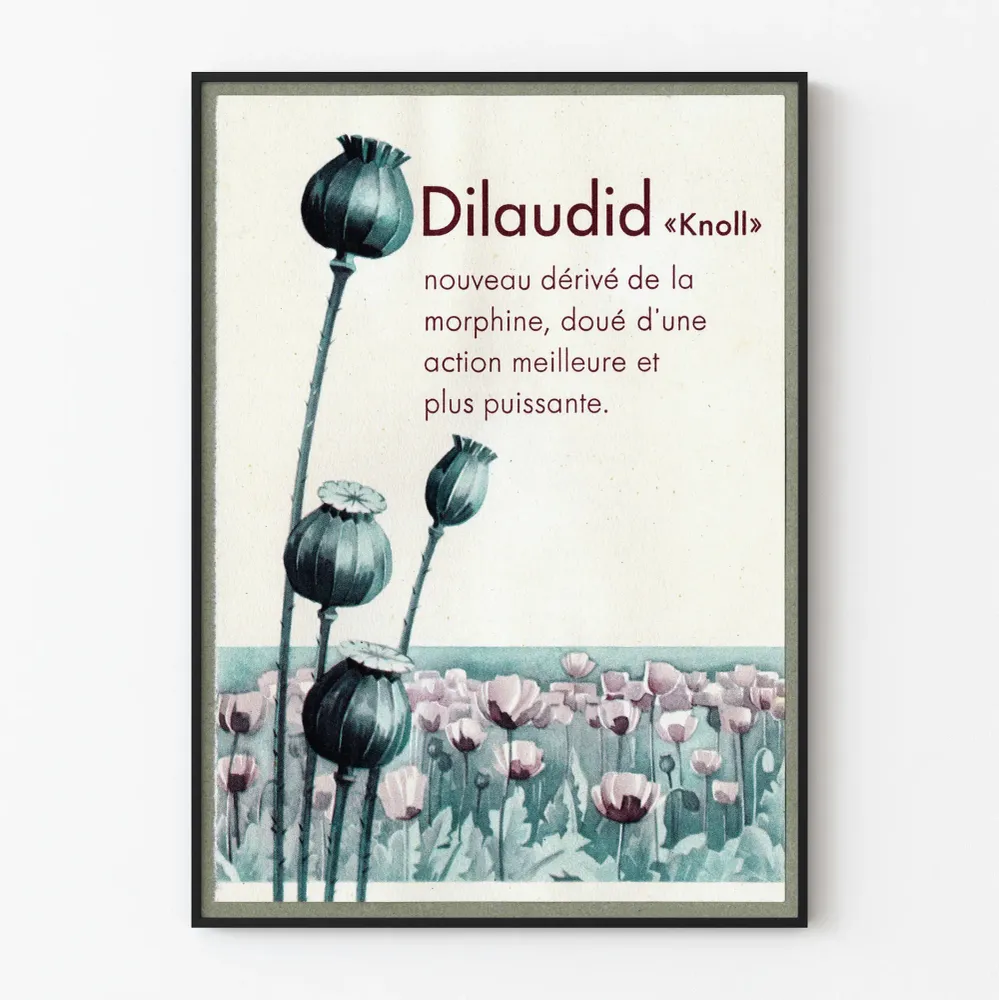 Vintagejuliste Dilaudid Knoll - Kasvillisuusaiheinen seinäkoriste