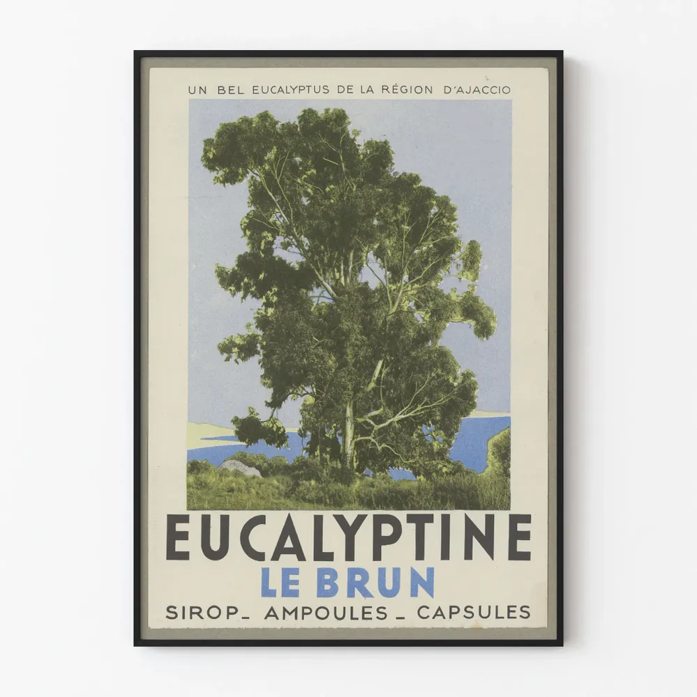 Vintagejuliste Eucalyptine Le Brun - Luontokuvakehys seinäkoristelu