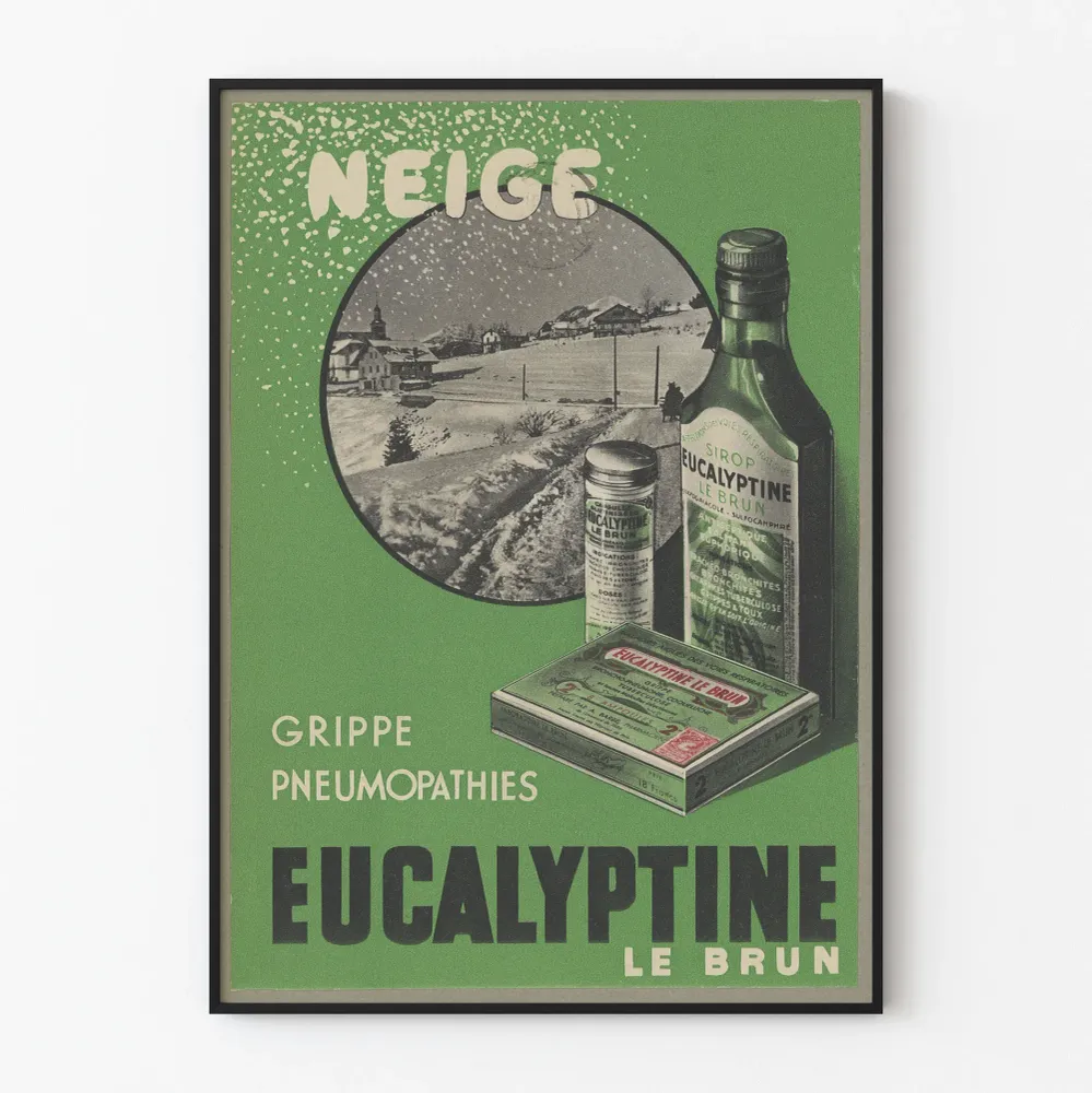 Vintagejuliste Eucalyptine Le Brun seinäkoristelu retro