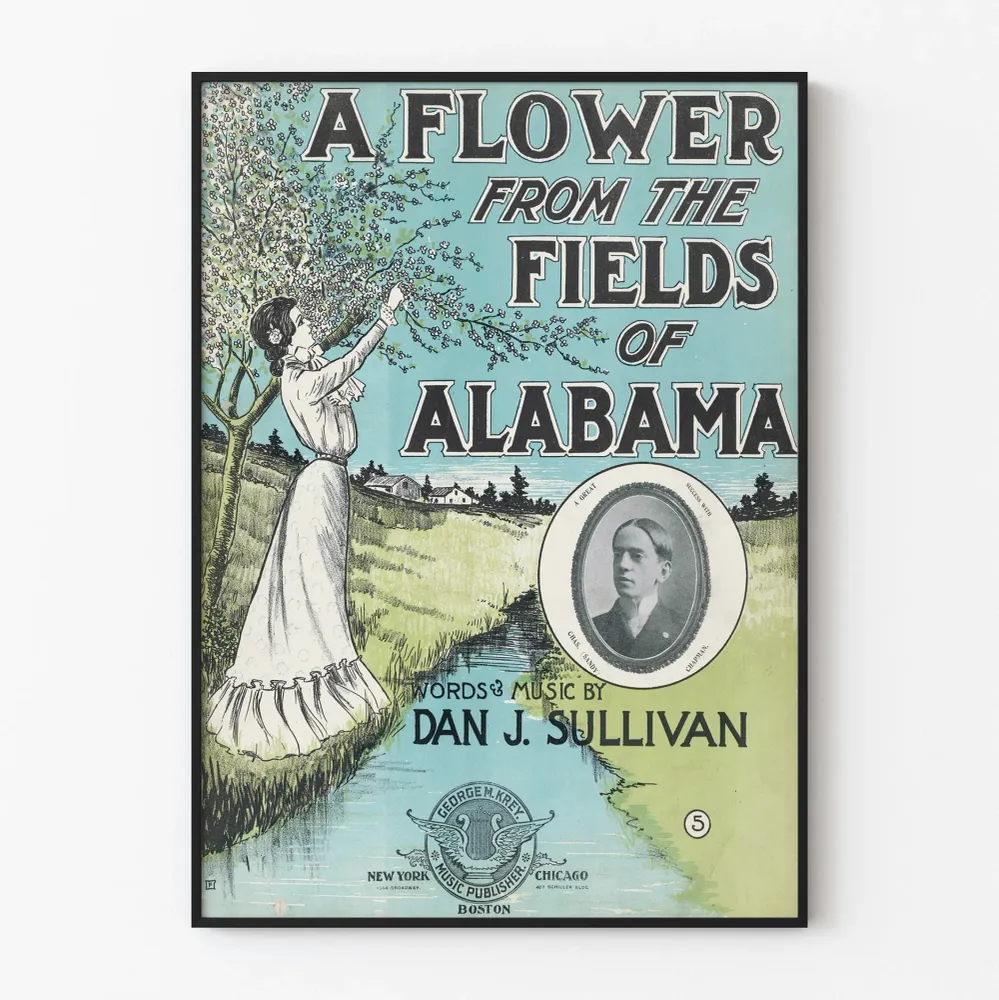 Vintagejuliste Flower From Fields Alabama