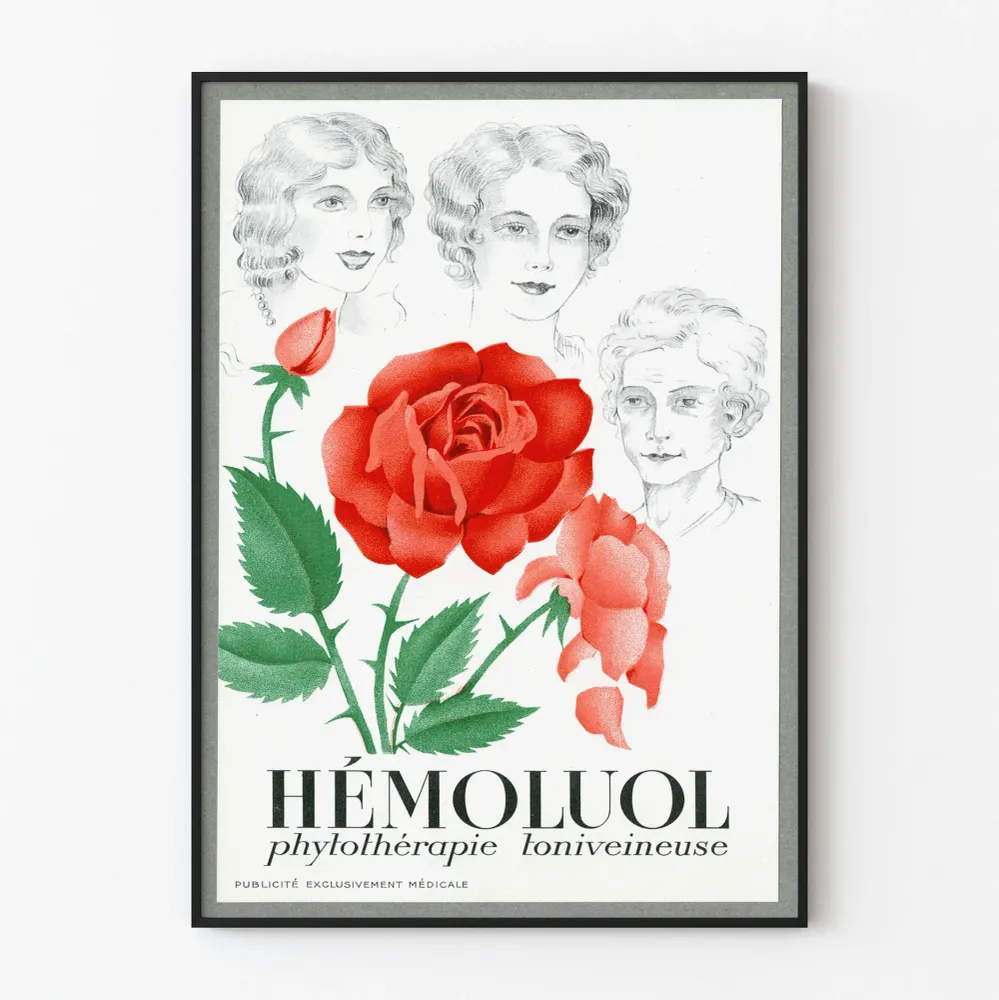 Vintagejuliste Hémoluol - Lääketieteellinen ja kasvitieteellinen seinäkoristelu